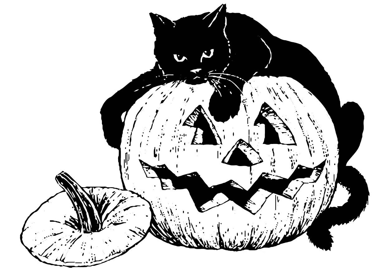 Черный кот распечатать. Раскраска Хэллоуин. Рисунки на Хэллоуин. Тыква Хэллоуин. Картинки на Хэллоуин раскраски.
